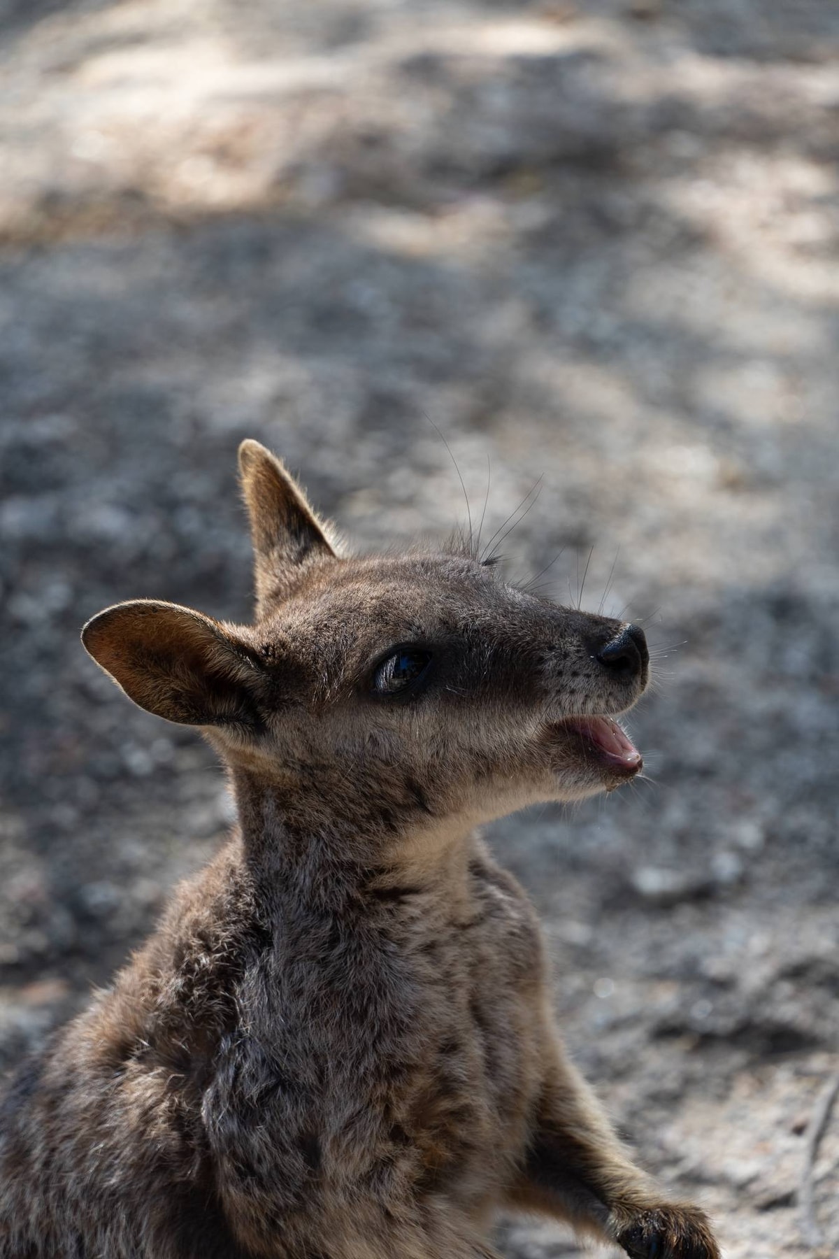 Australien-214.jpg