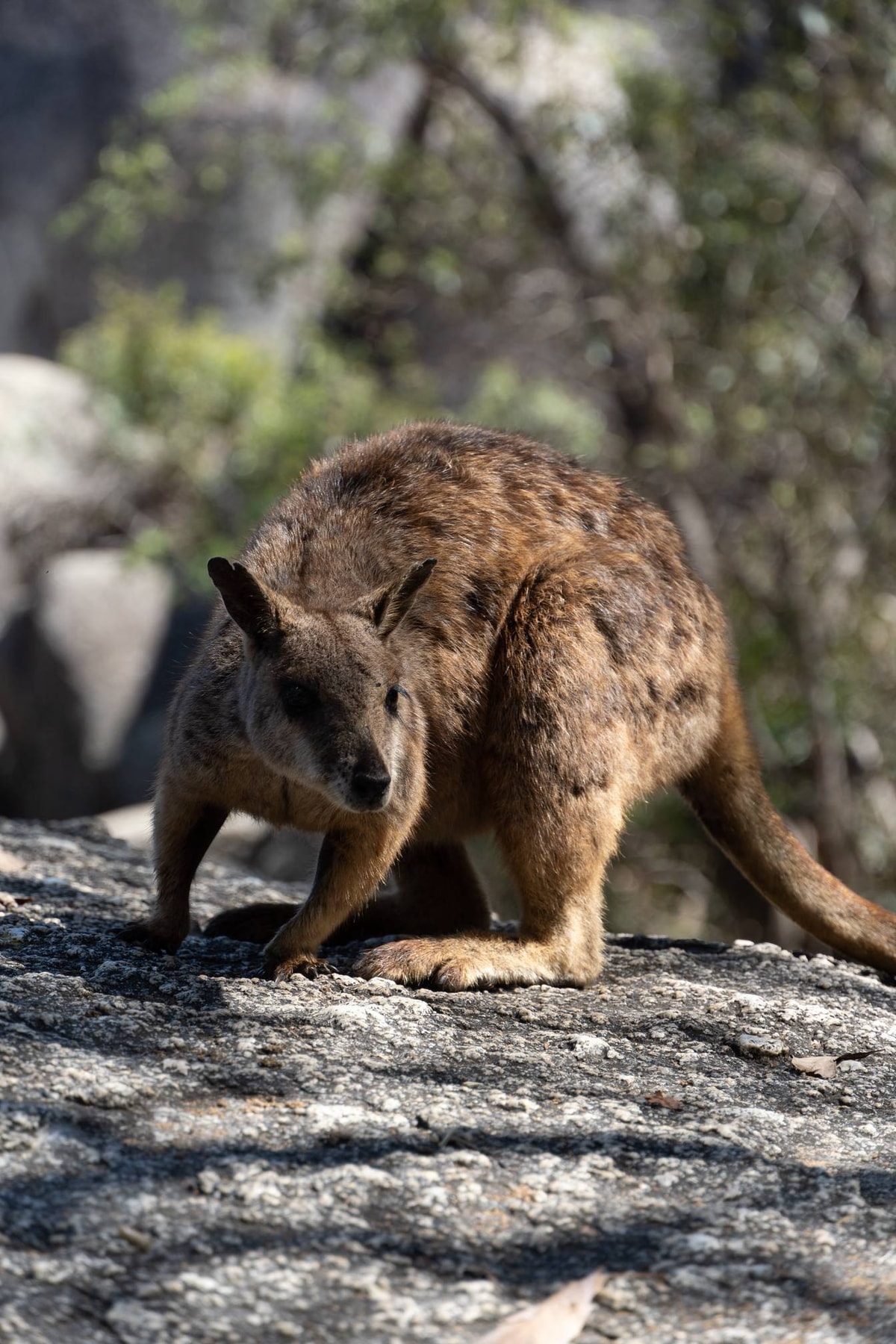 Australien-220.jpg