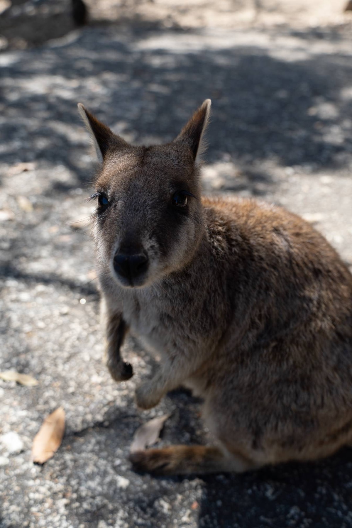 Australien-231.jpg
