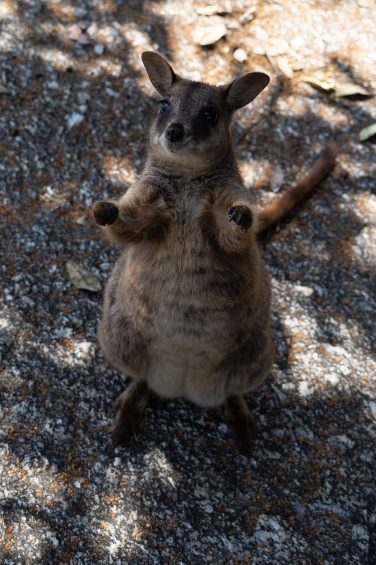 Australien-308.jpg