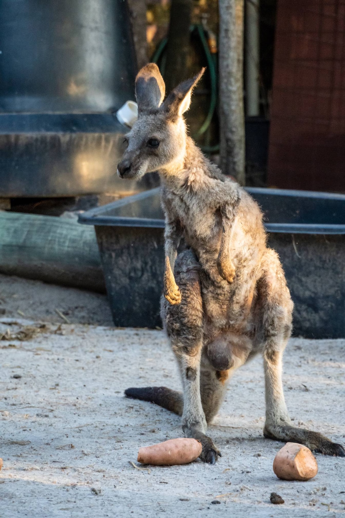 Australien_Agnes_Water-1.jpg