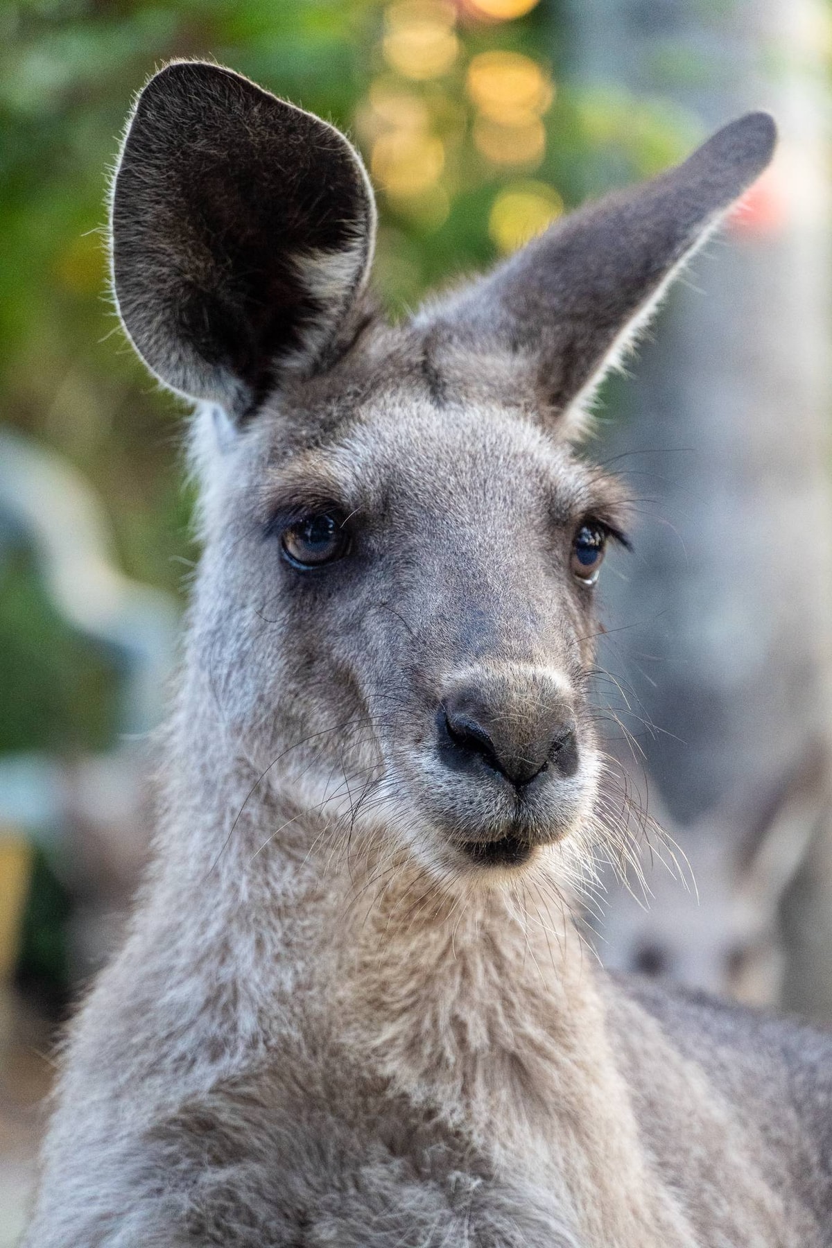 Australien_Agnes_Water-22.jpg