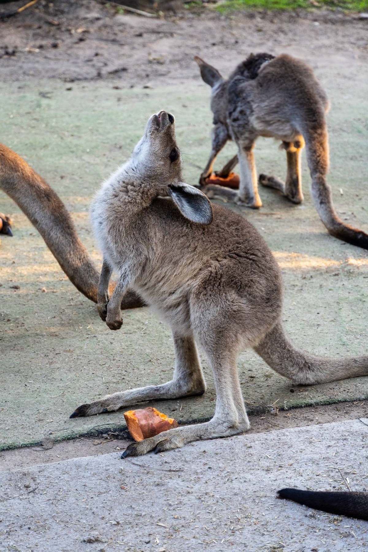 Australien_Agnes_Water-35.jpg