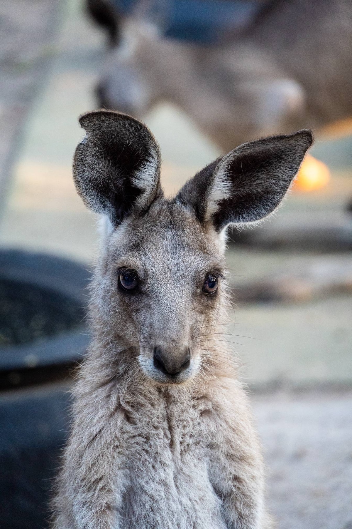 Australien_Agnes_Water-90.jpg