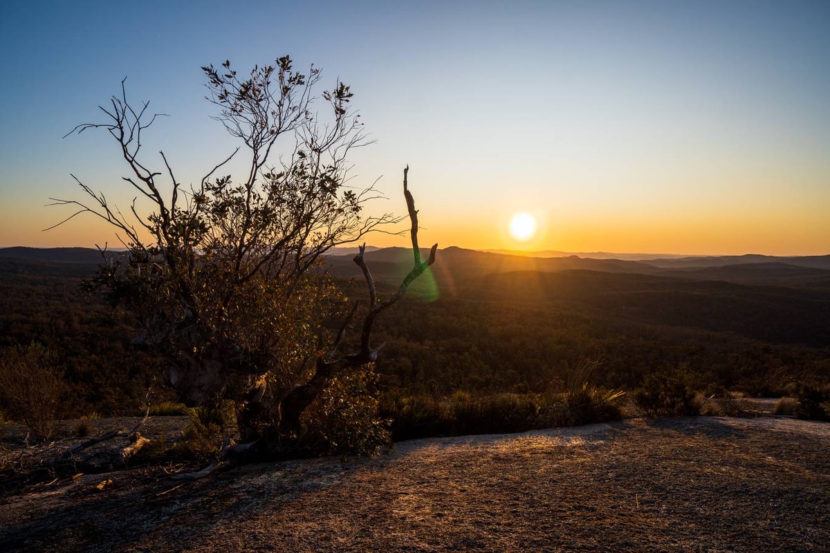 Australien_Bald_Rock_National_Park-38.jpg