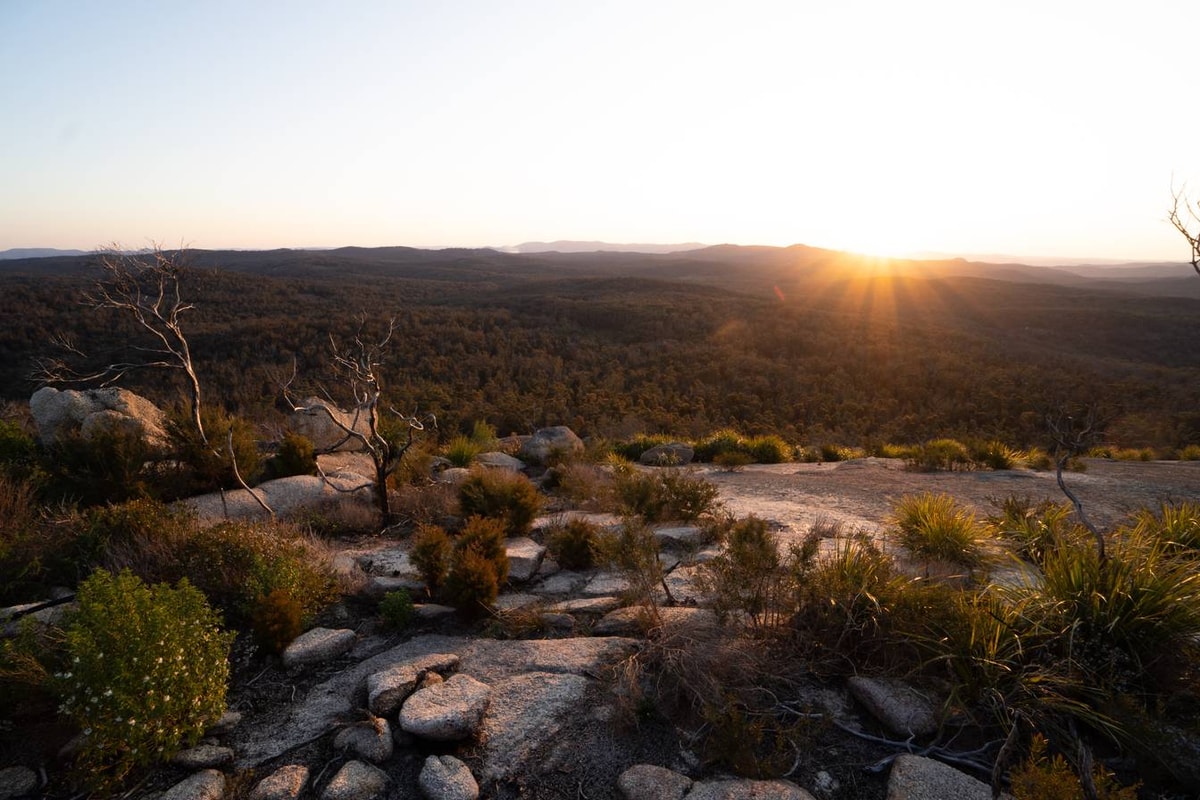 Australien_Bald_Rock_National_Park-47.jpg