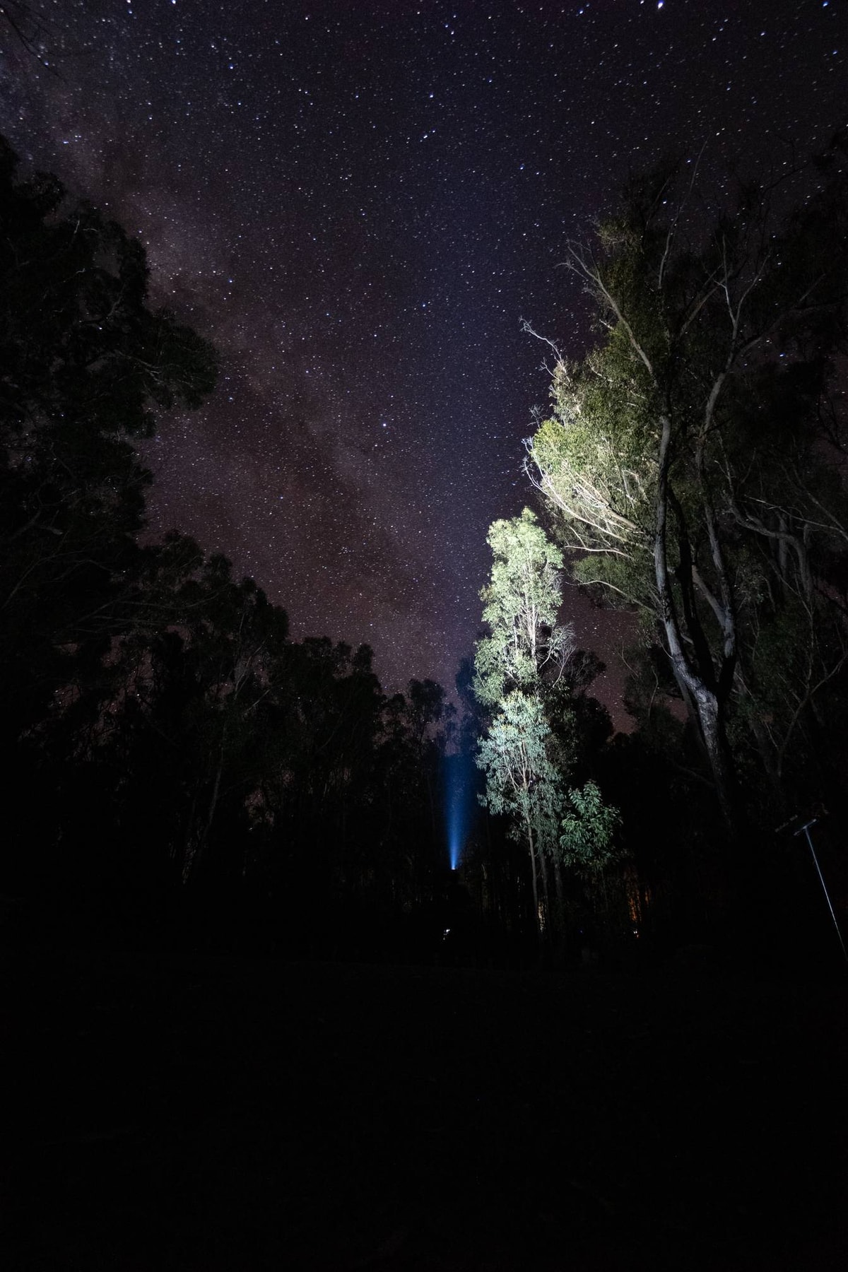 Australien_Bald_Rock_National_Park-83.jpg