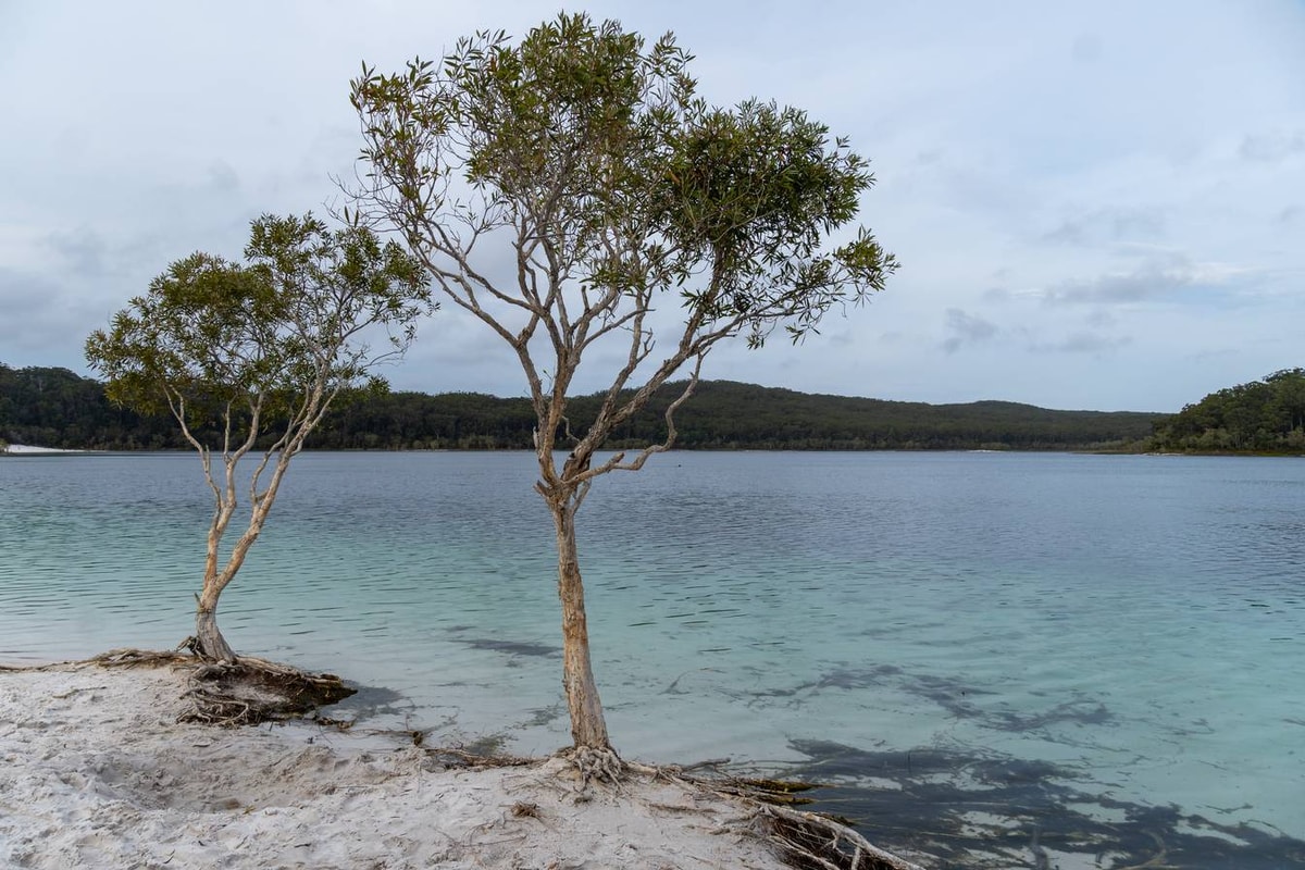 Australien_Fraser_Island-97.jpg