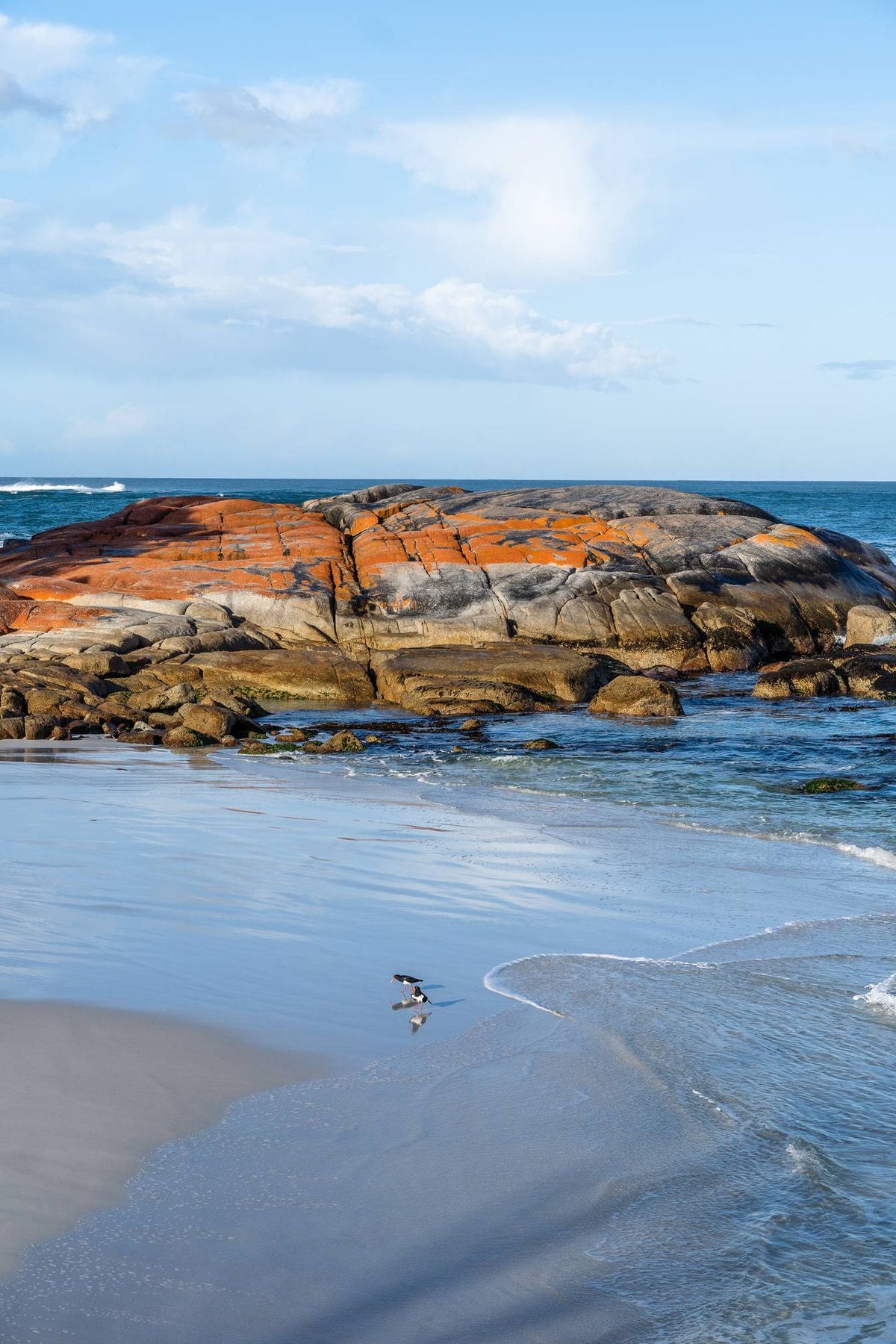 Australien_Tasmanien-656.jpg