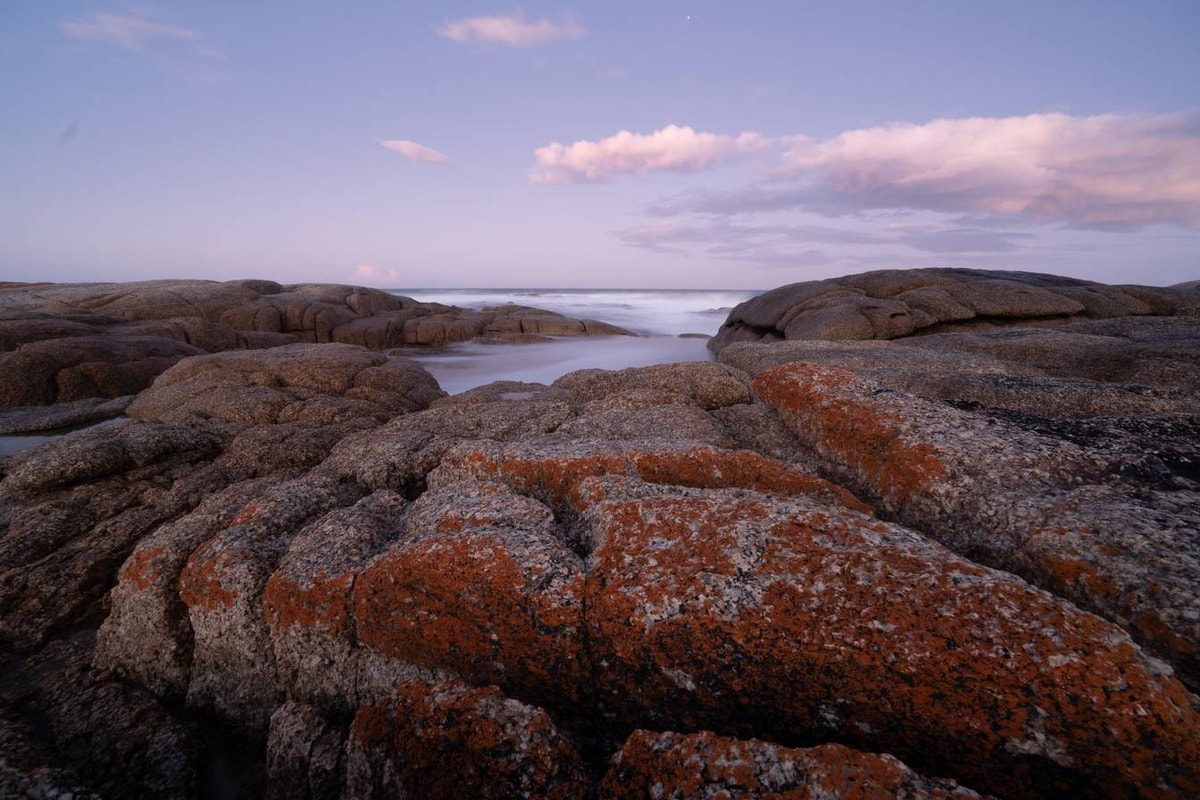 Australien_Tasmanien-728.jpg
