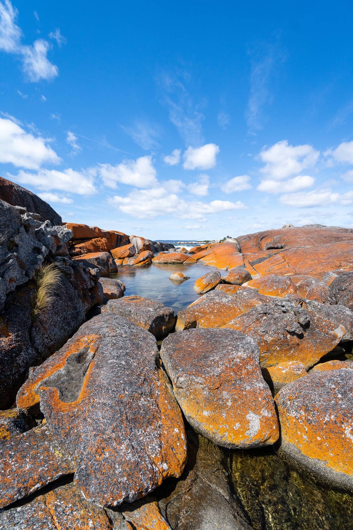 Australien_Tasmanien-802.jpg