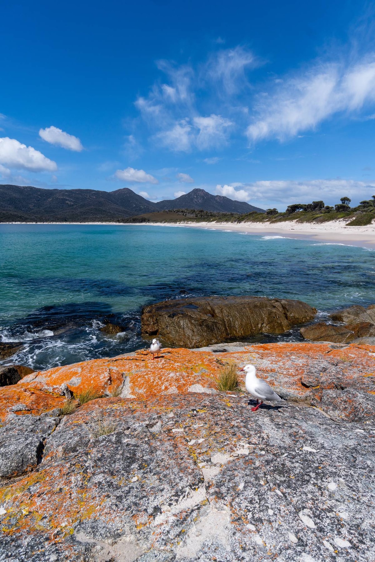 Australien_Tasmanien-872.jpg
