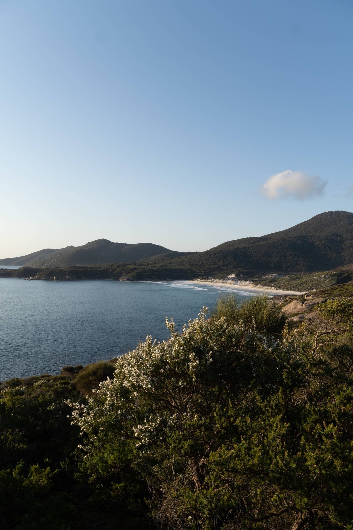 Australien_Wilsons_Promontory_National_Park-75.jpg