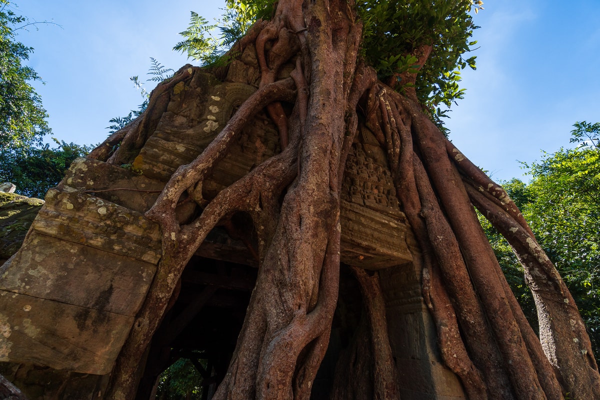 Kambodscha_Siem_Reap-127.jpg