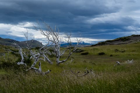 Chile_Torres_del_Paine-231.jpg