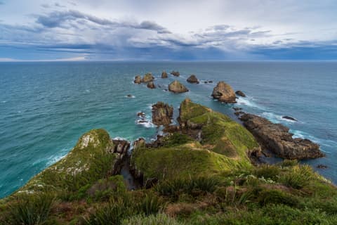 DSC05511.jpg