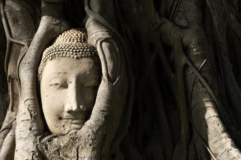 Thailand_Ayutthaya-21.jpg