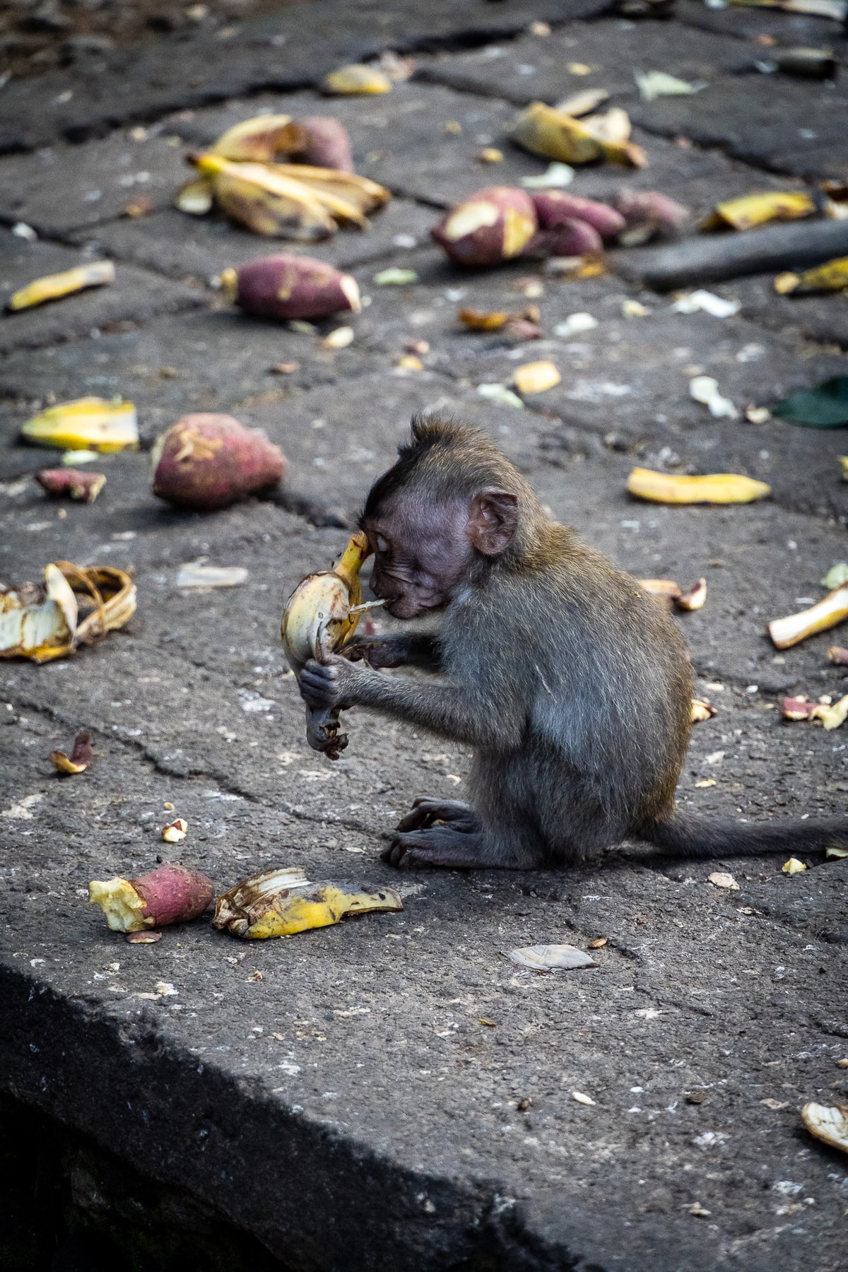 Indonesien_Ubud-117.jpg