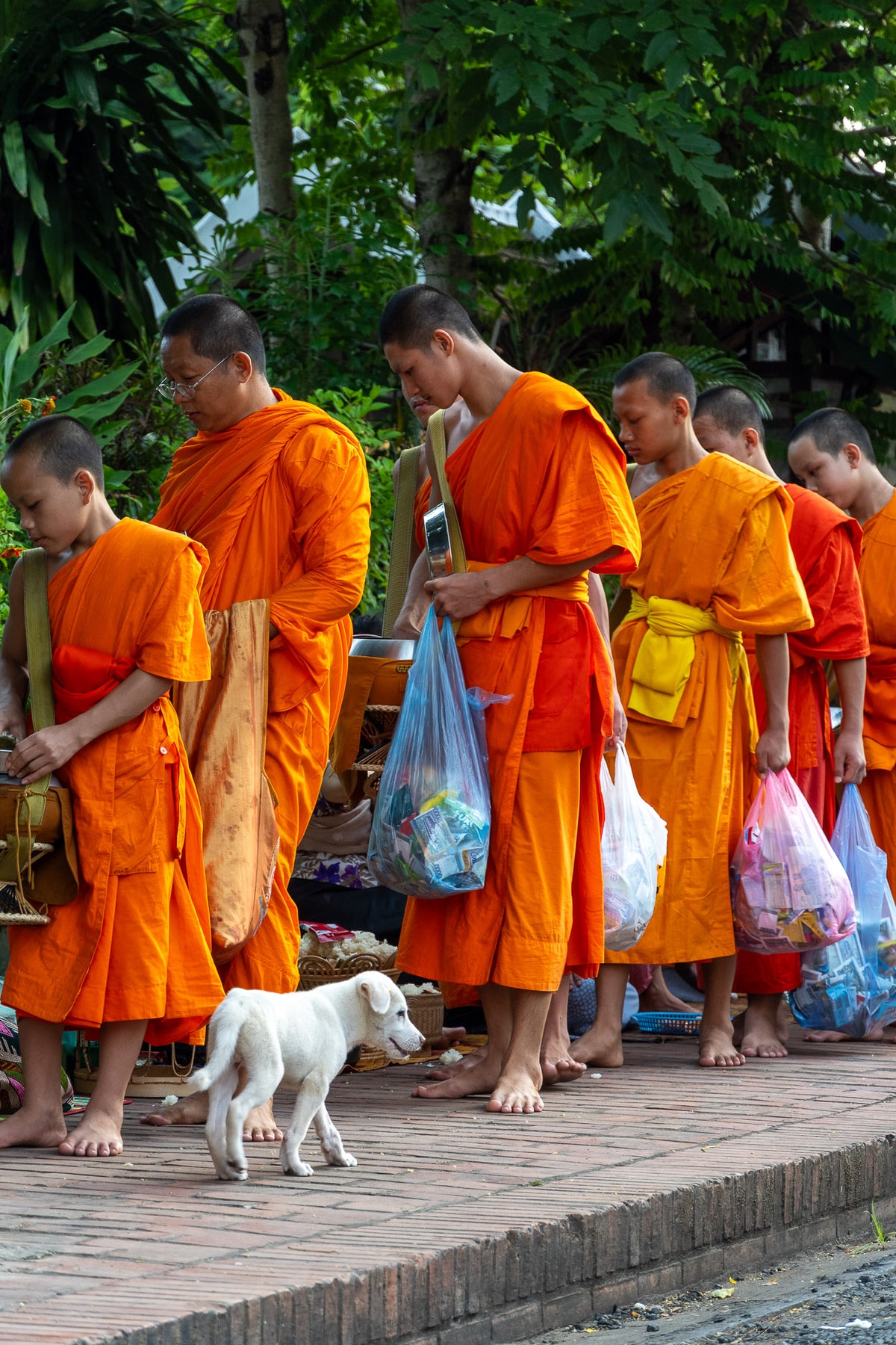 Laos_Luang_Prabang-429.jpg