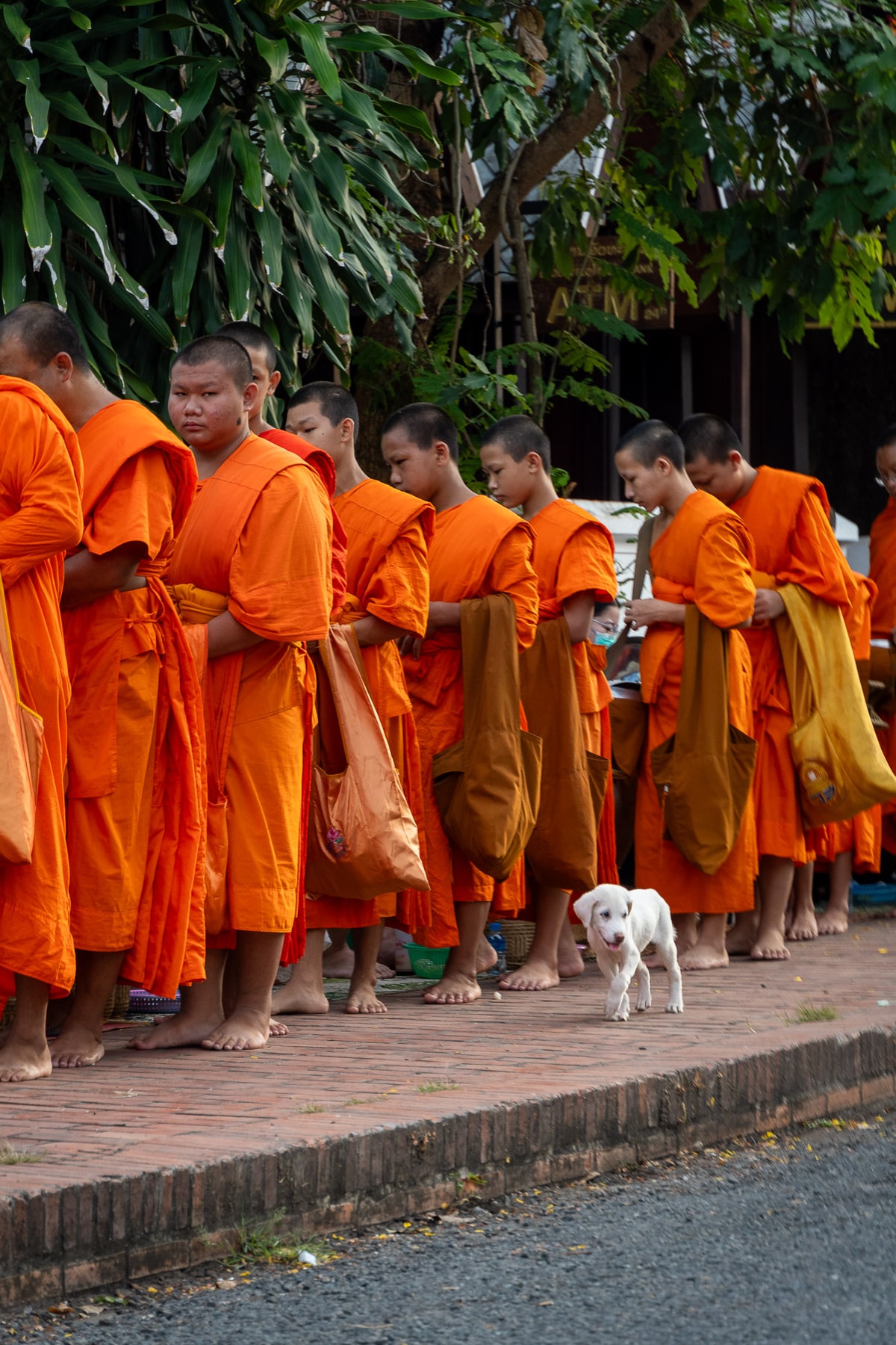 Laos_Luang_Prabang-432.jpg