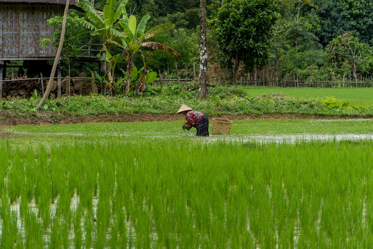 Laos_Vang_Vieng-4.jpg