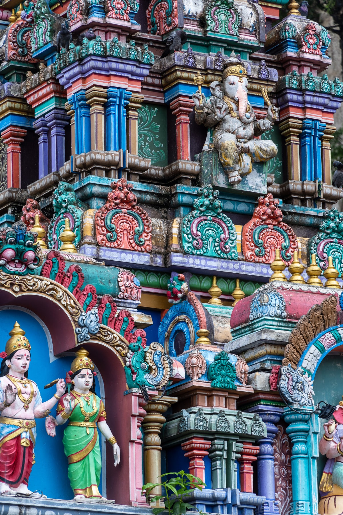 Malaysia-01731.jpg