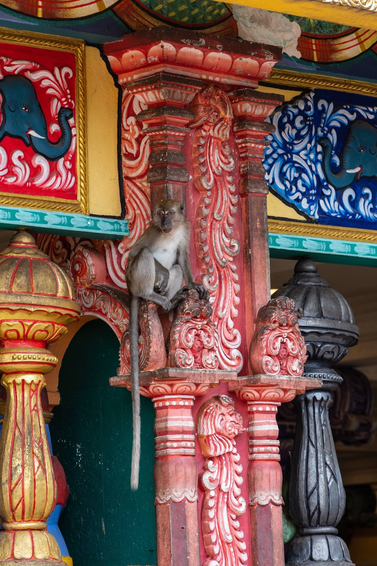 Malaysia-01738.jpg