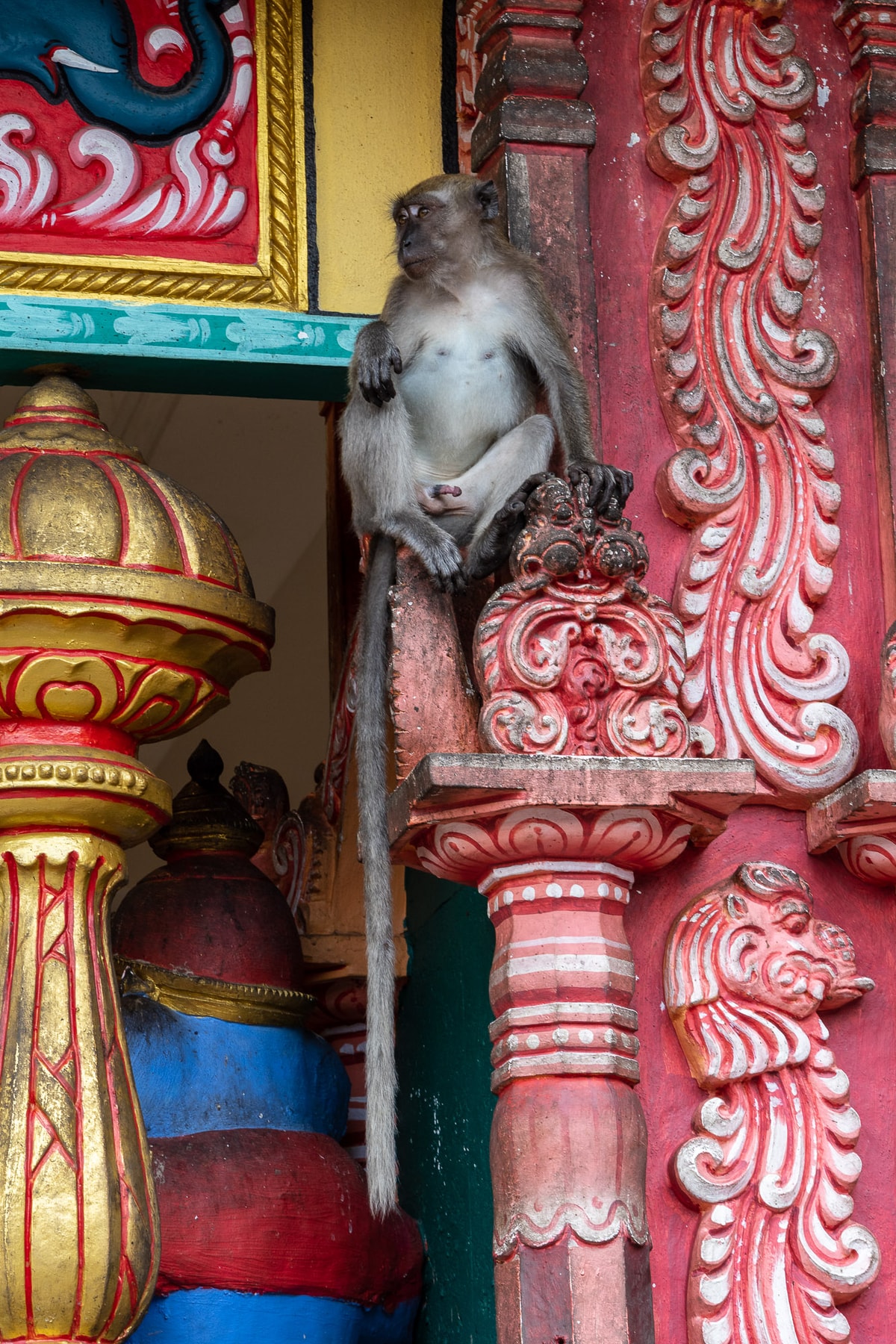 Malaysia-01744.jpg