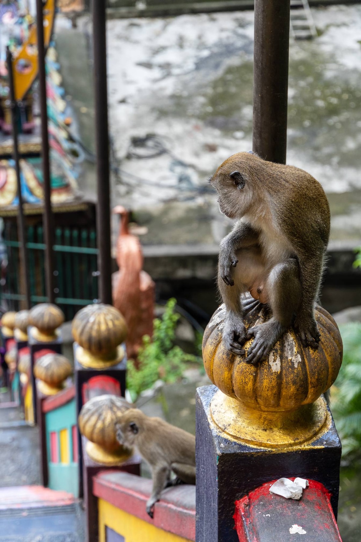 Malaysia-01754.jpg
