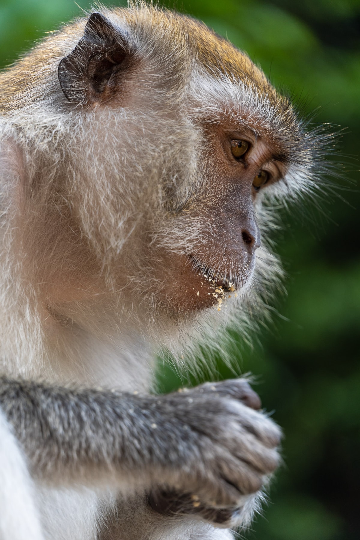 Malaysia-01817.jpg