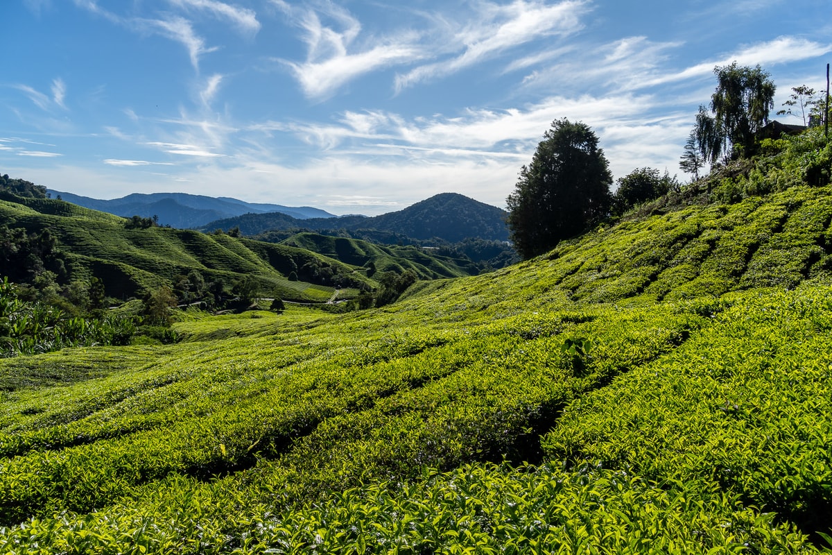 Malaysia-01952-HDR.jpg