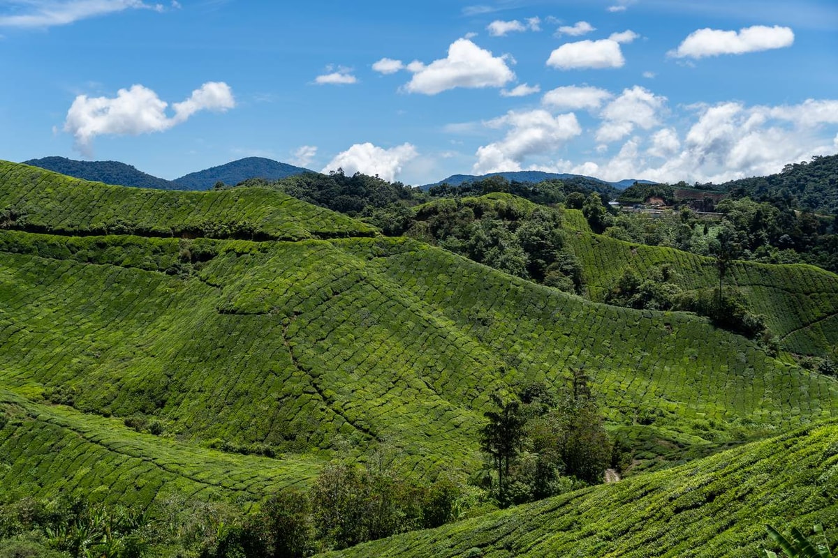 Malaysia-02069.jpg