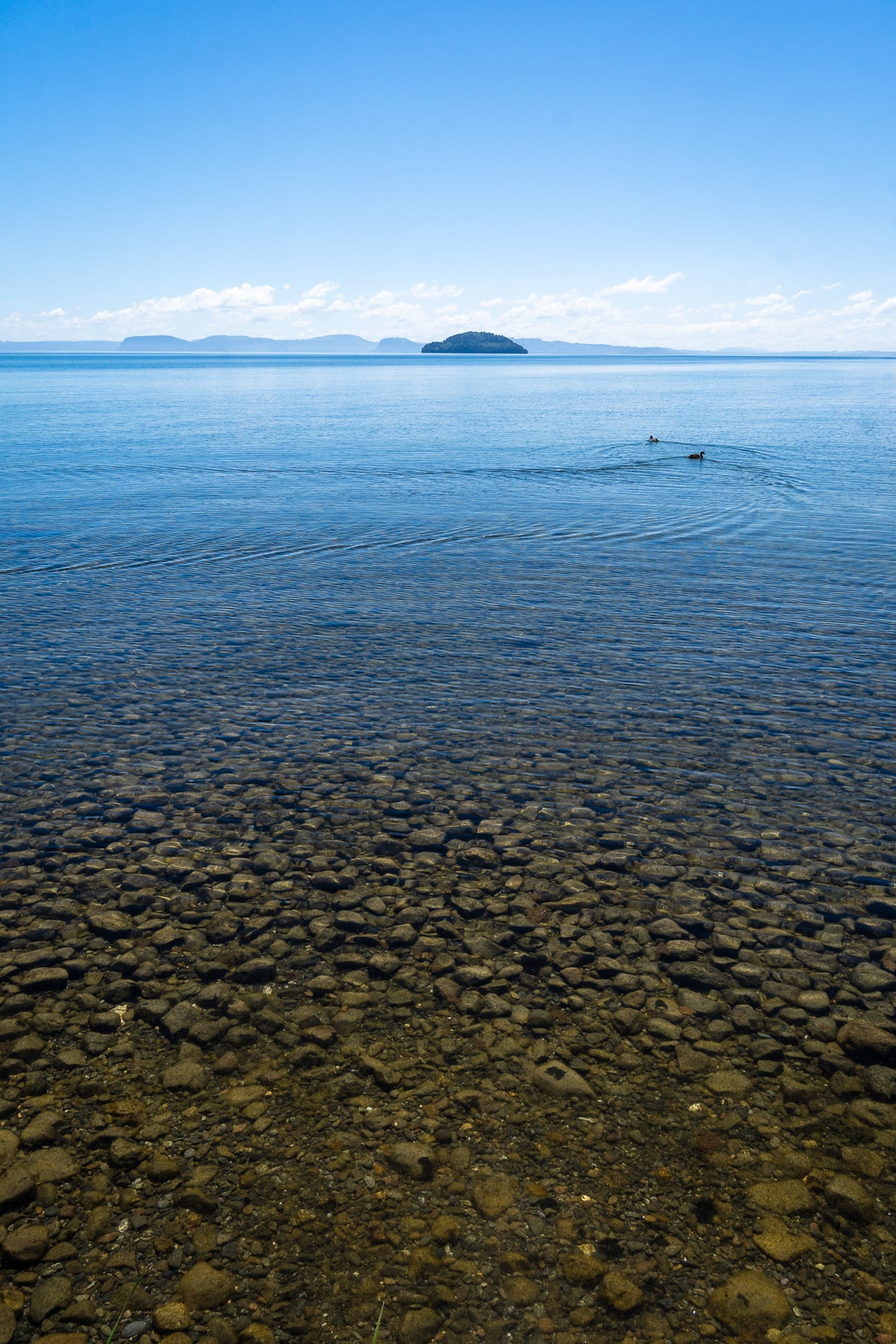 Neuseeland_Lake_Taupo-4.jpg