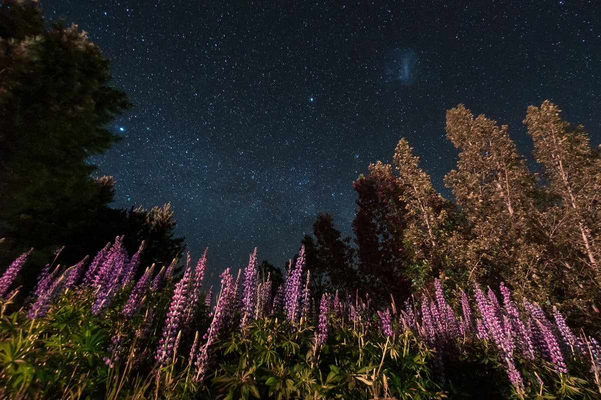 Neuseeland_Lake_Tekapo-27.jpg