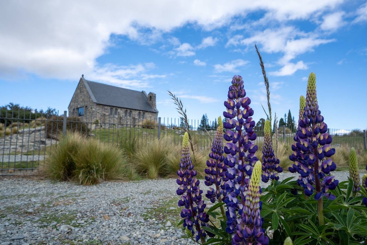Neuseeland_Lake_Tekapo-9.jpg