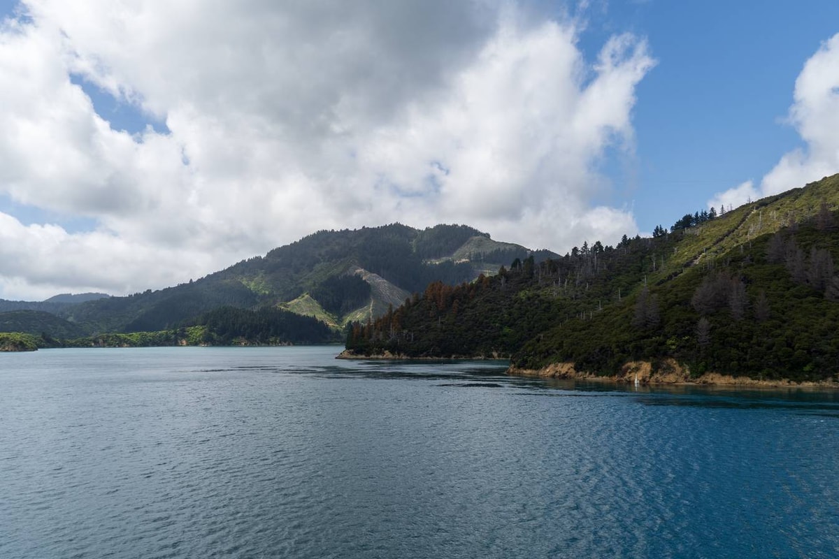 Neuseeland_Marlborough_Sound-24.jpg