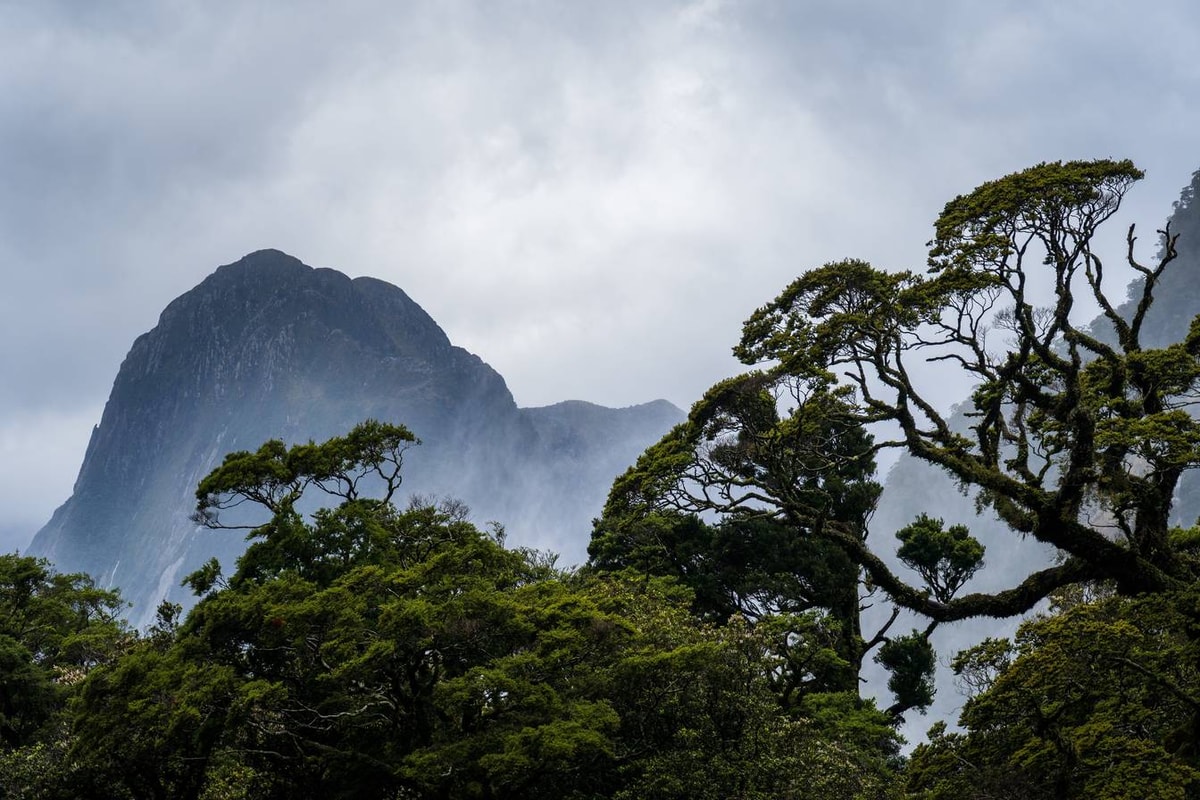 Neuseeland_Milford_Sound-227.jpg