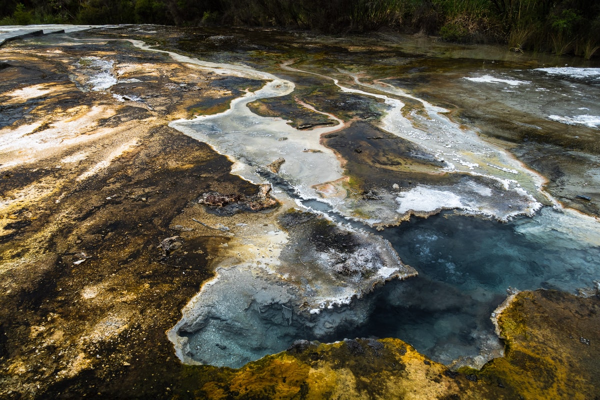 Neuseeland_Orakei_Koraku-27.jpg
