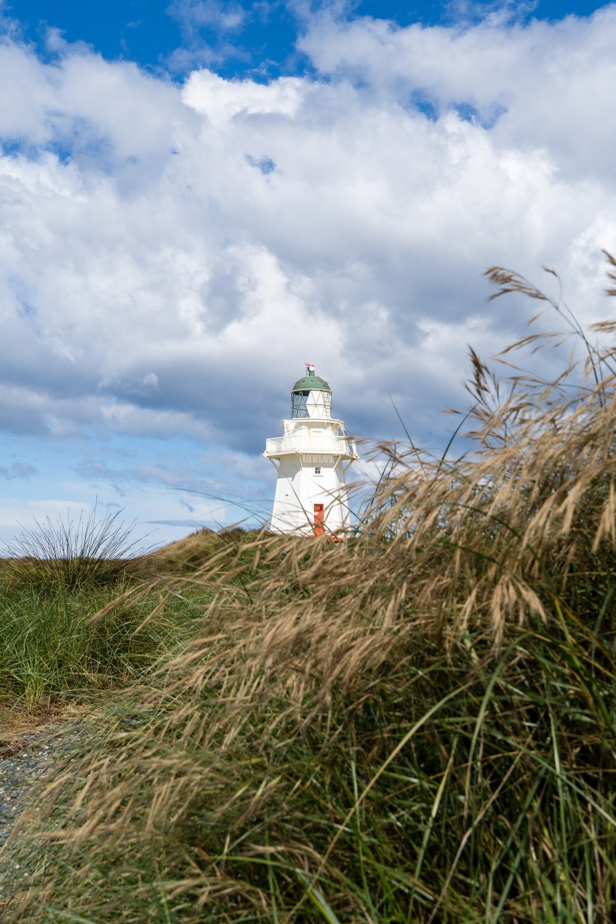 Neuseeland_South_Coast-13.jpg