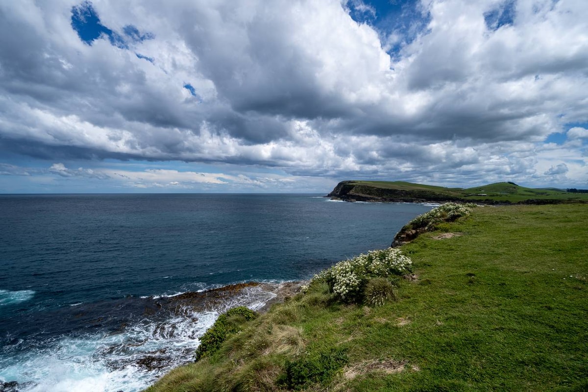 Neuseeland_South_Coast-98.jpg