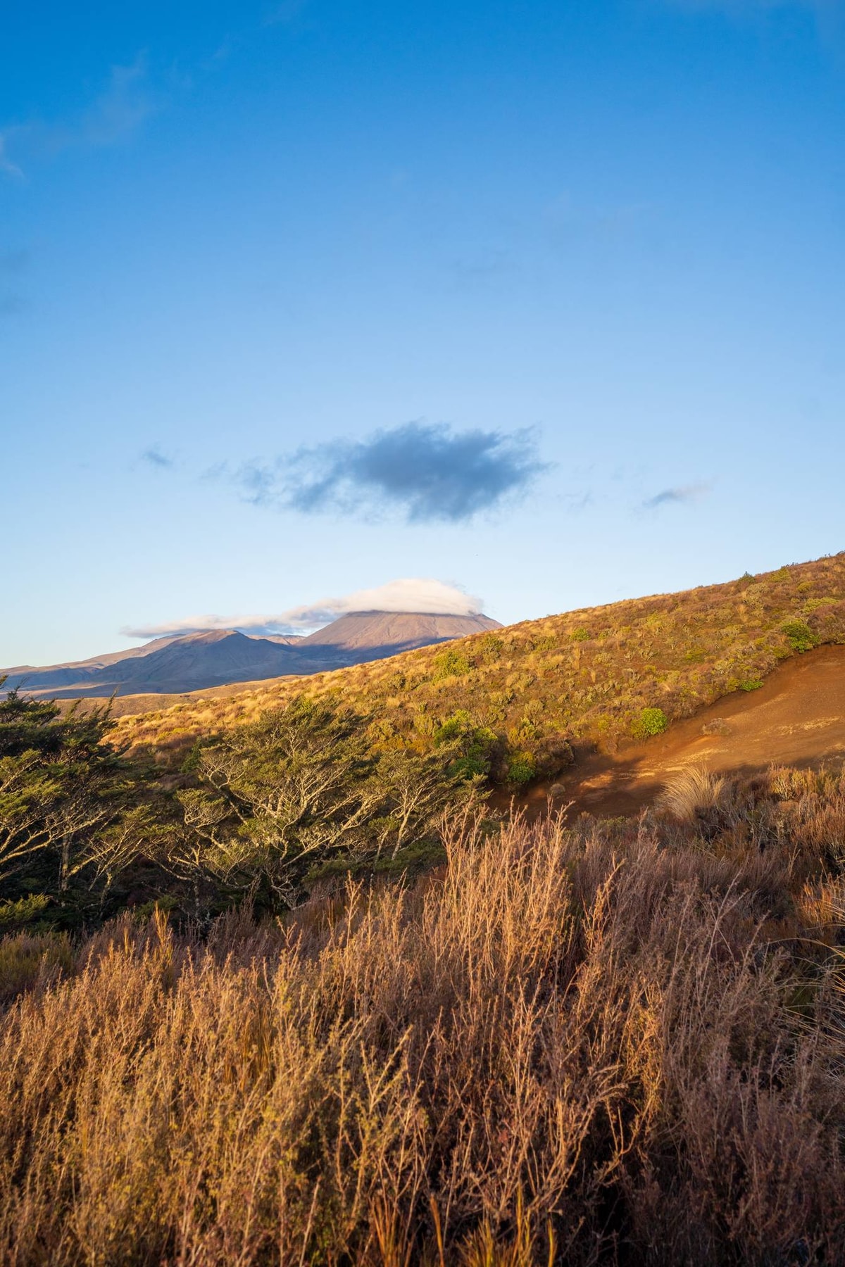 Neuseeland_Tongariro_National_Park-251.jpg