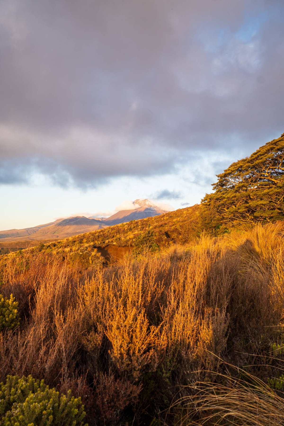 Neuseeland_Tongariro_National_Park-259.jpg