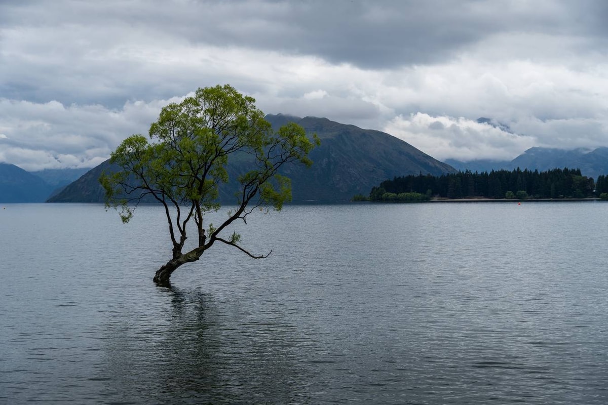 Neuseeland_Wanaka-158.jpg