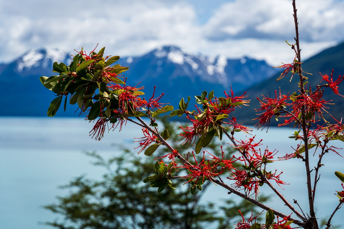 Argentinien_Patagonien-203.jpg