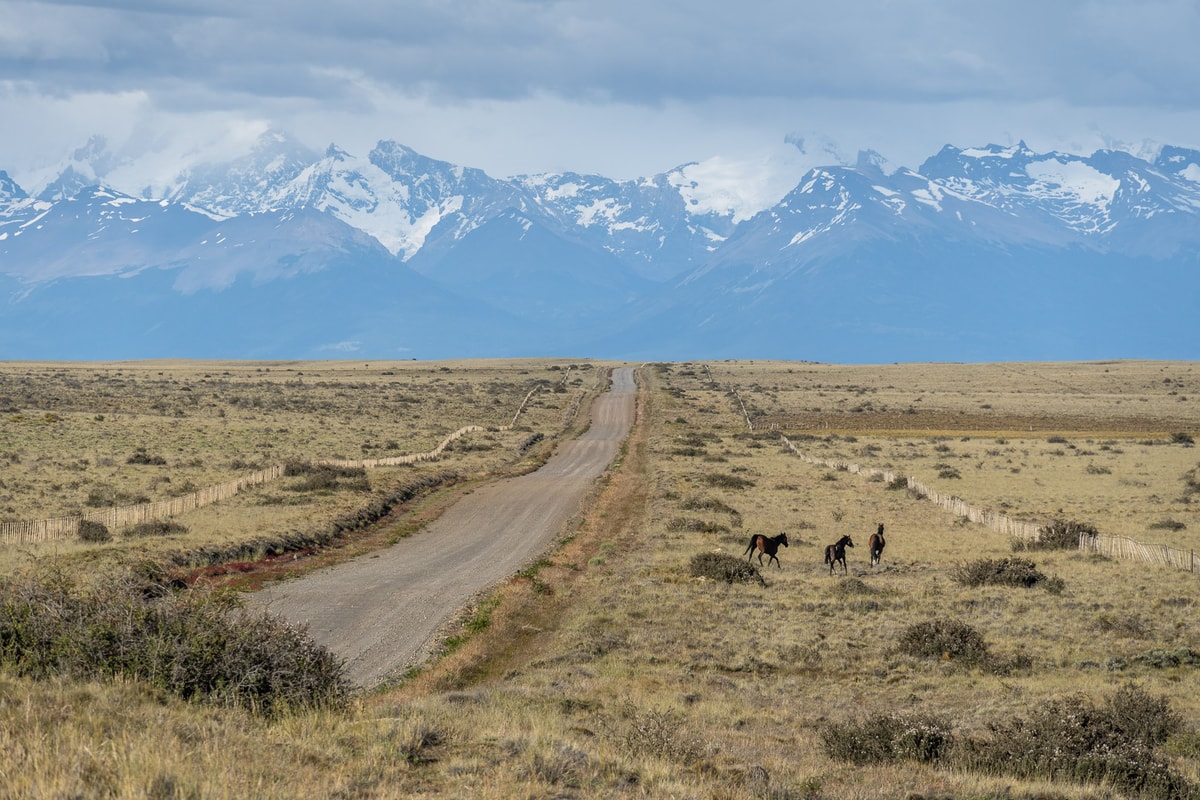 Argentinien_Patagonien-23.jpg