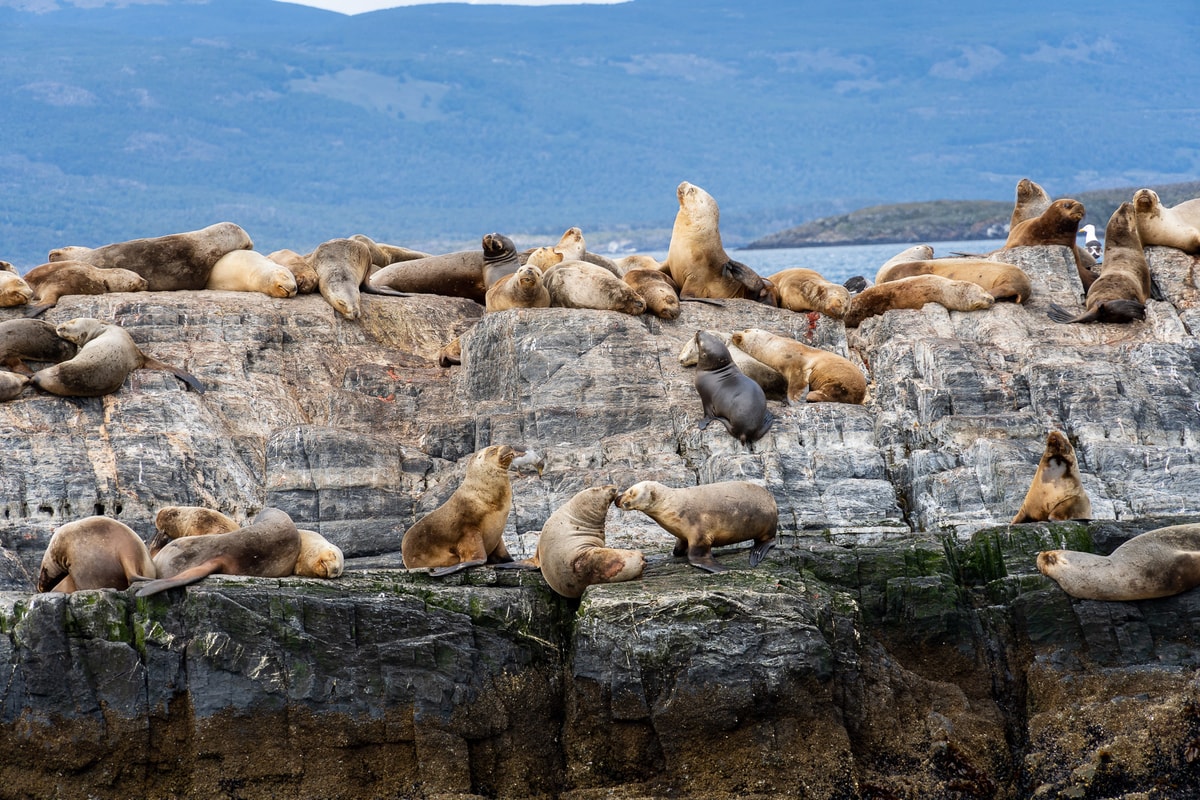 Argentinien_Tierra_del_Fuego-164.jpg