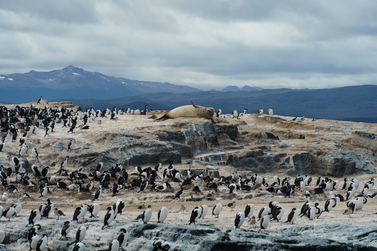 Argentinien_Tierra_del_Fuego-185.jpg