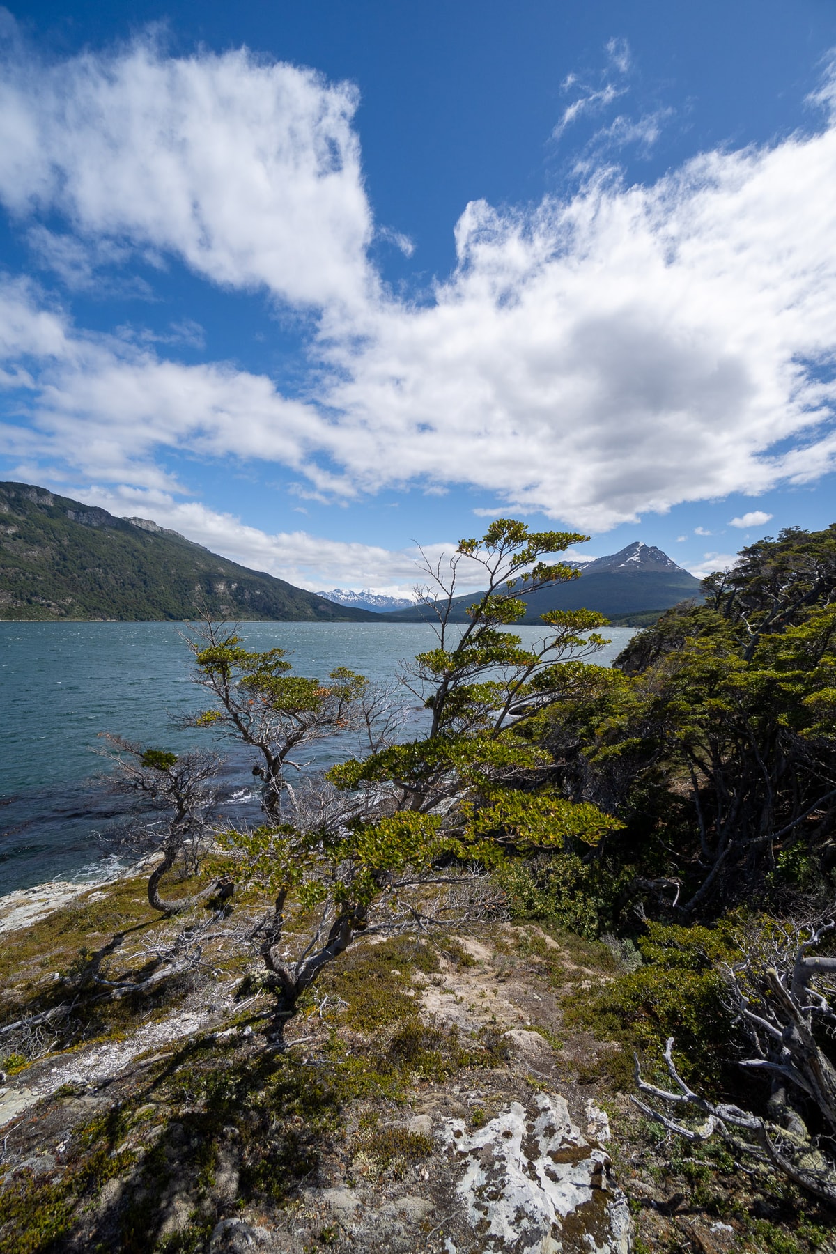 Argentinien_Tierra_del_Fuego-43.jpg