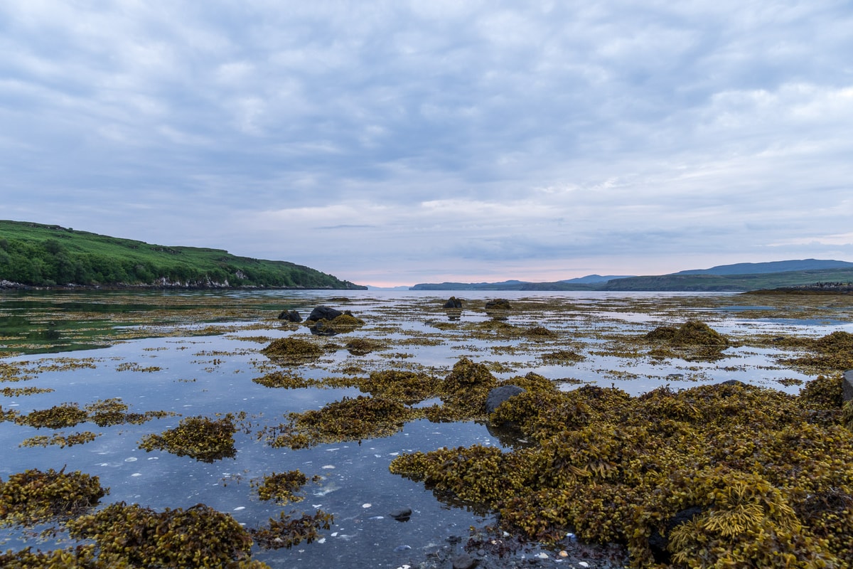 Schottland-01356.jpg