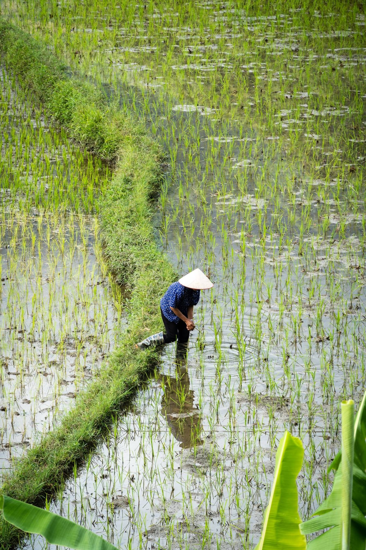 Vietnam_Ha_Giang-134.jpg